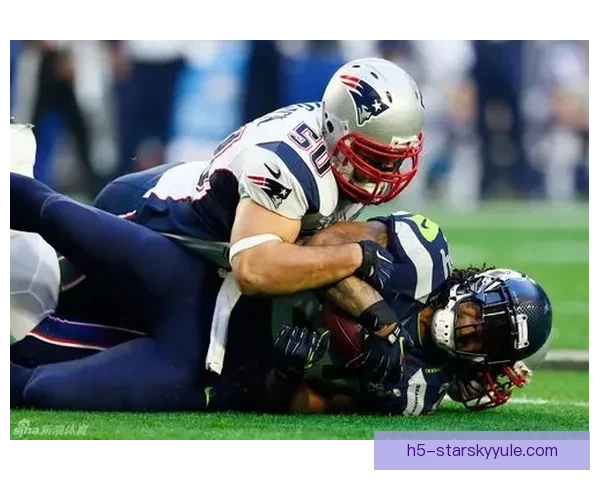 十一年后海鹰复仇爱国者第二冠